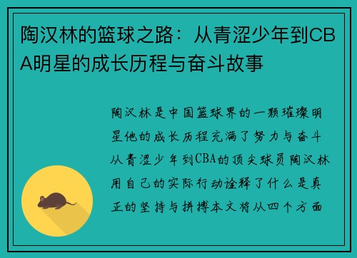 陶汉林的篮球之路：从青涩少年到CBA明星的成长历程与奋斗故事